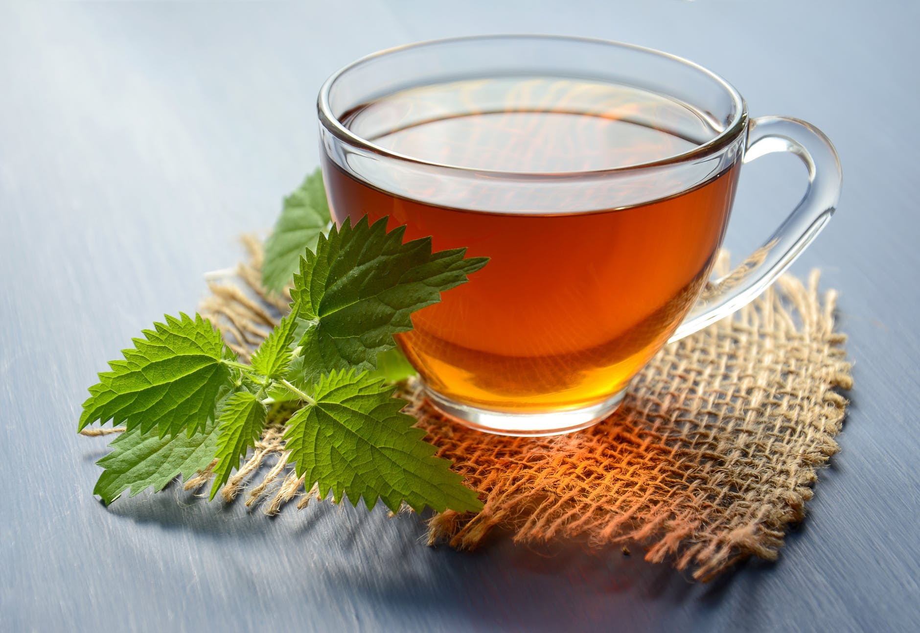 Chinese herb tea,Leaf,Drink,Roasted barley tea,Mint,Herb,Earl grey tea,Plant,Grog,Green tea
