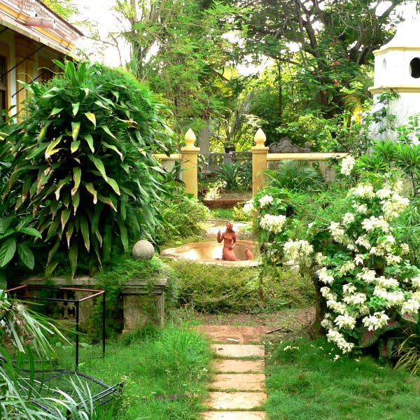 Garden,Plant,Backyard,Yard,Botany,Flower,Landscaping,Landscape,Grass,Tree