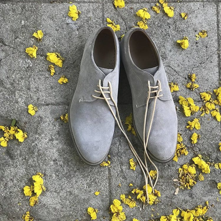 Footwear,Yellow,Shoe,Grey,Plimsoll shoe,Plant,Ballet flat