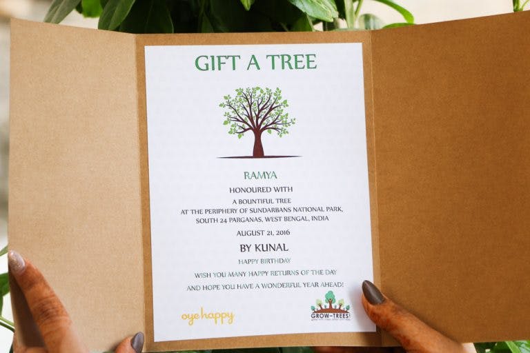 Green,Text,Leaf,Botany,Plant,Tree,Paper product,Invitation,Paper,Wildflower
