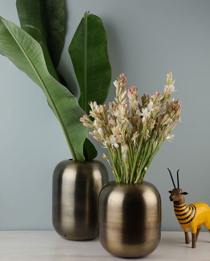 Flowerpot,Vase,Flower,Houseplant,Plant,Leaf,Ikebana,Botany,Floral design,Floristry