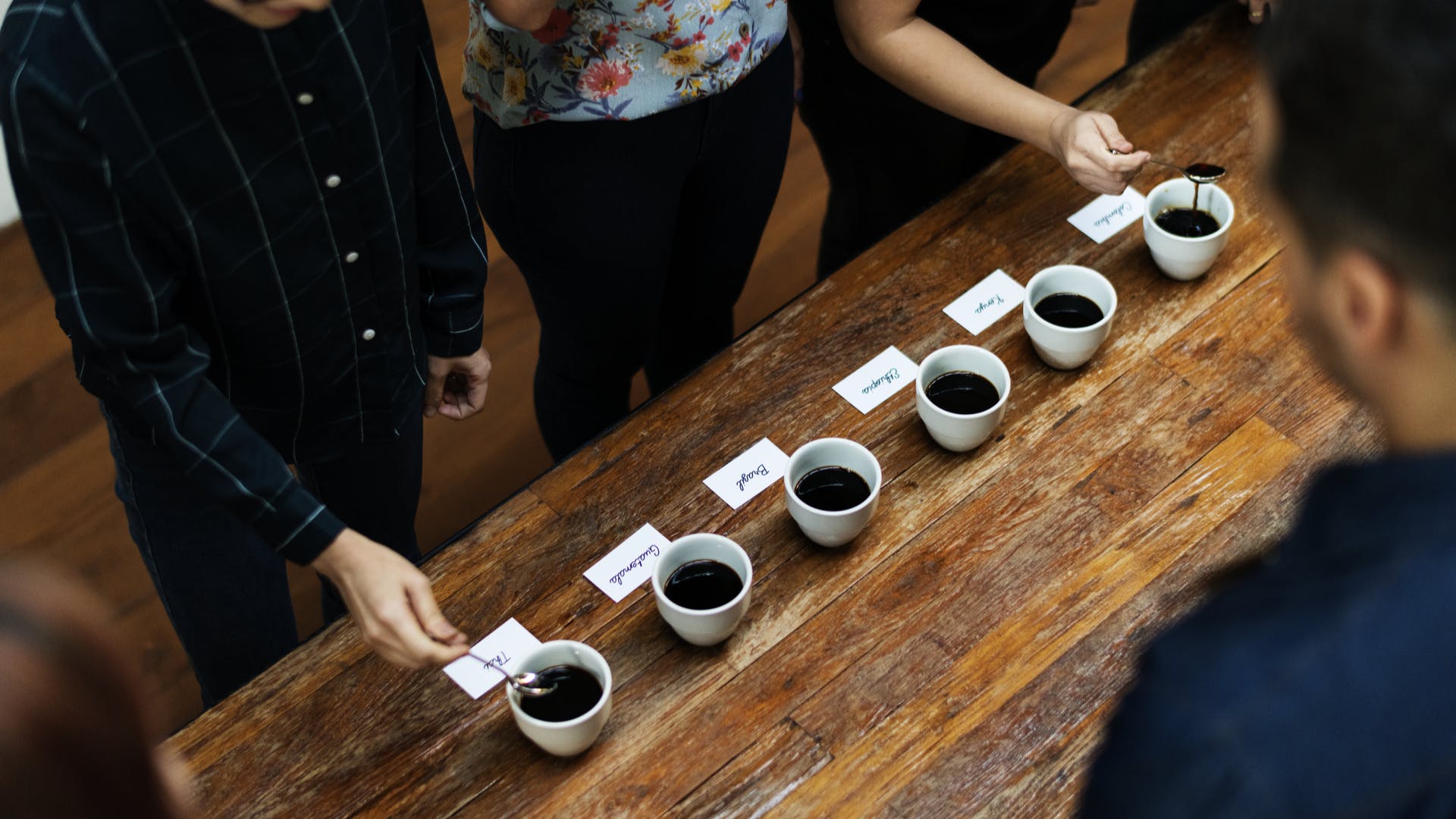Attend This Coffee Understanding & Tasting LBB, Bangalore