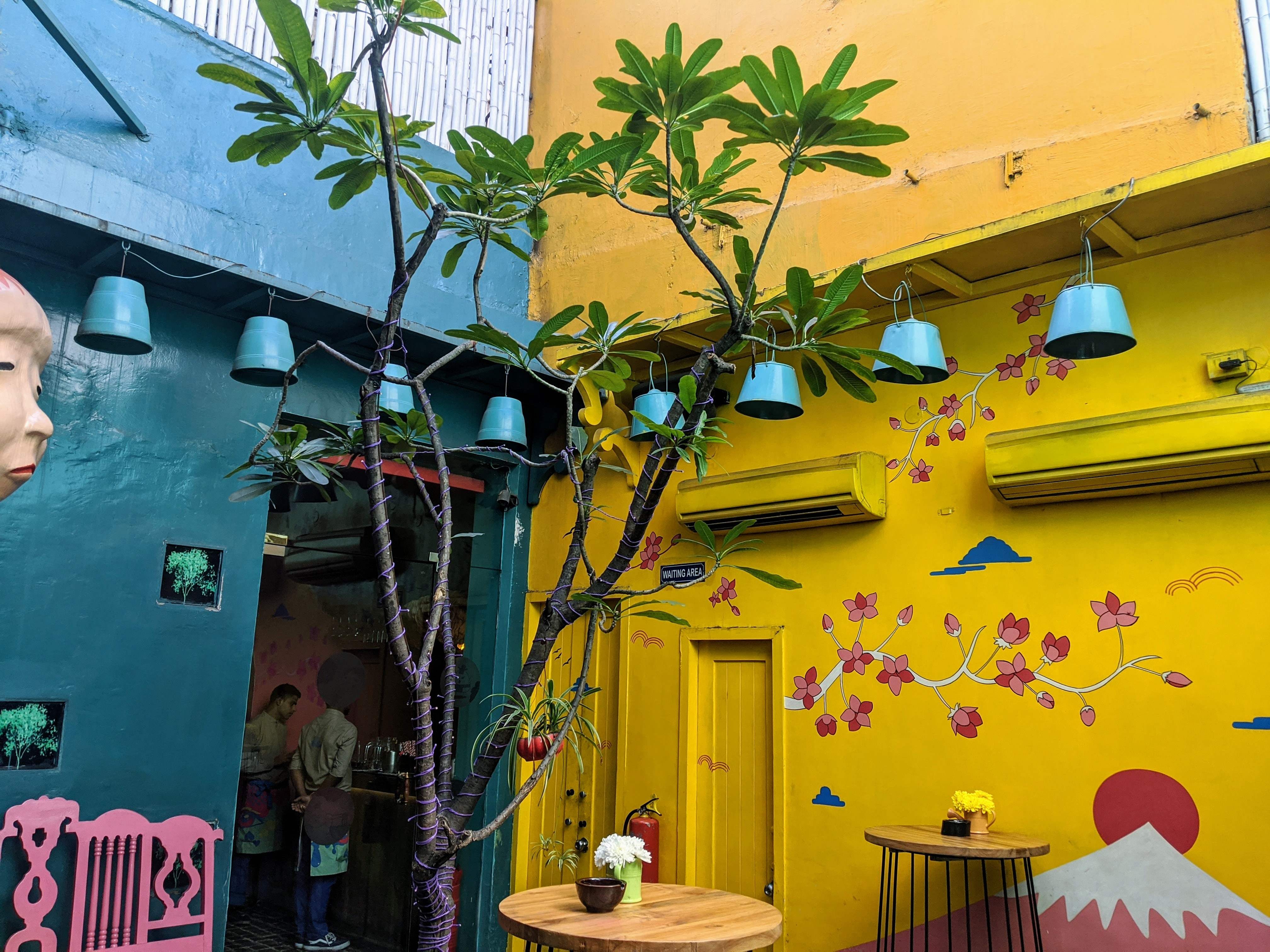 Green,Yellow,Wall,Tree,Neighbourhood,Plant,Flower,Room,Architecture,House