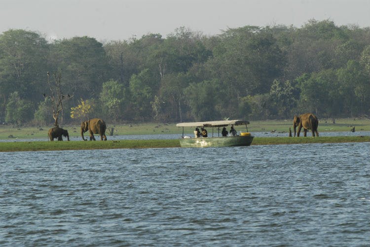 Jungle Resorts Kabini River Lodge Lbb Bangalore