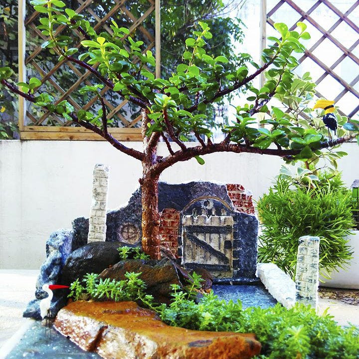 Check Out Muddy Waters Miniature Gardens | Lbb, Bangalore