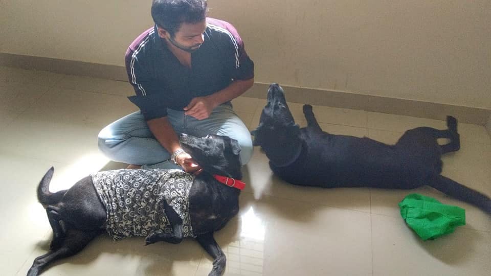 Animal Shelters In Pune | LBB Pune