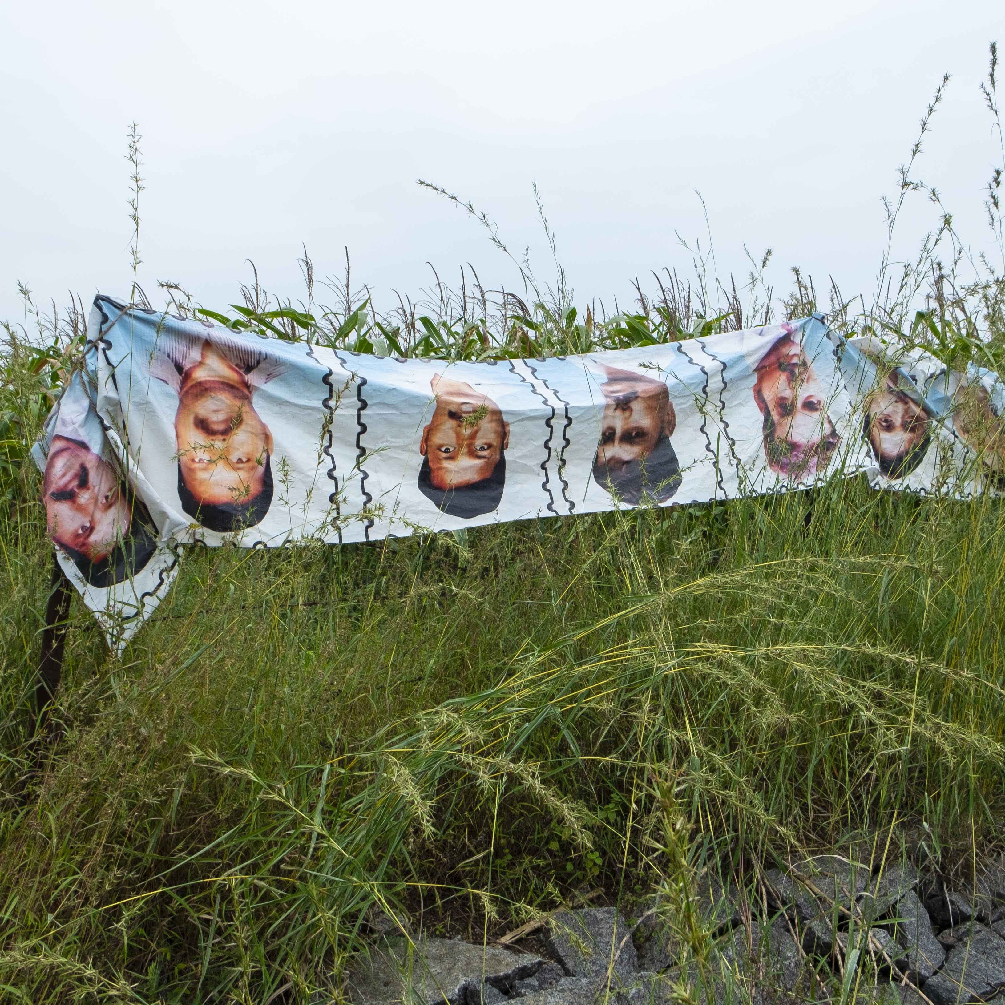 Grass,Grass family,Photography,Tree,Rural area,Plant,Grassland,Meadow,Banner,Advertising