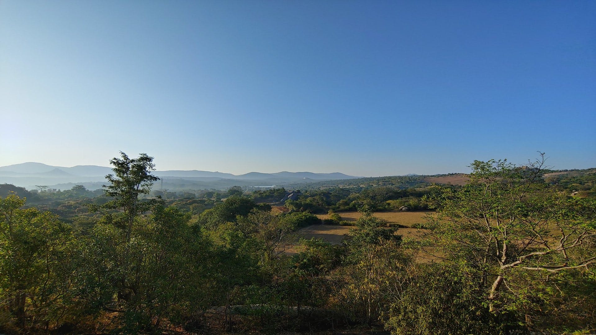 Sky,Vegetation,Nature,Mountainous landforms,Mountain,Wilderness,Natural environment,Hill,Hill station,Tree