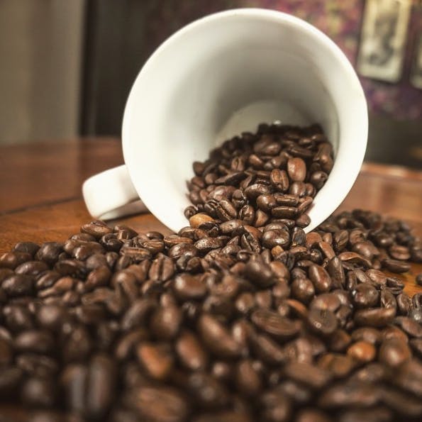 Coffee Day Essentials LBB