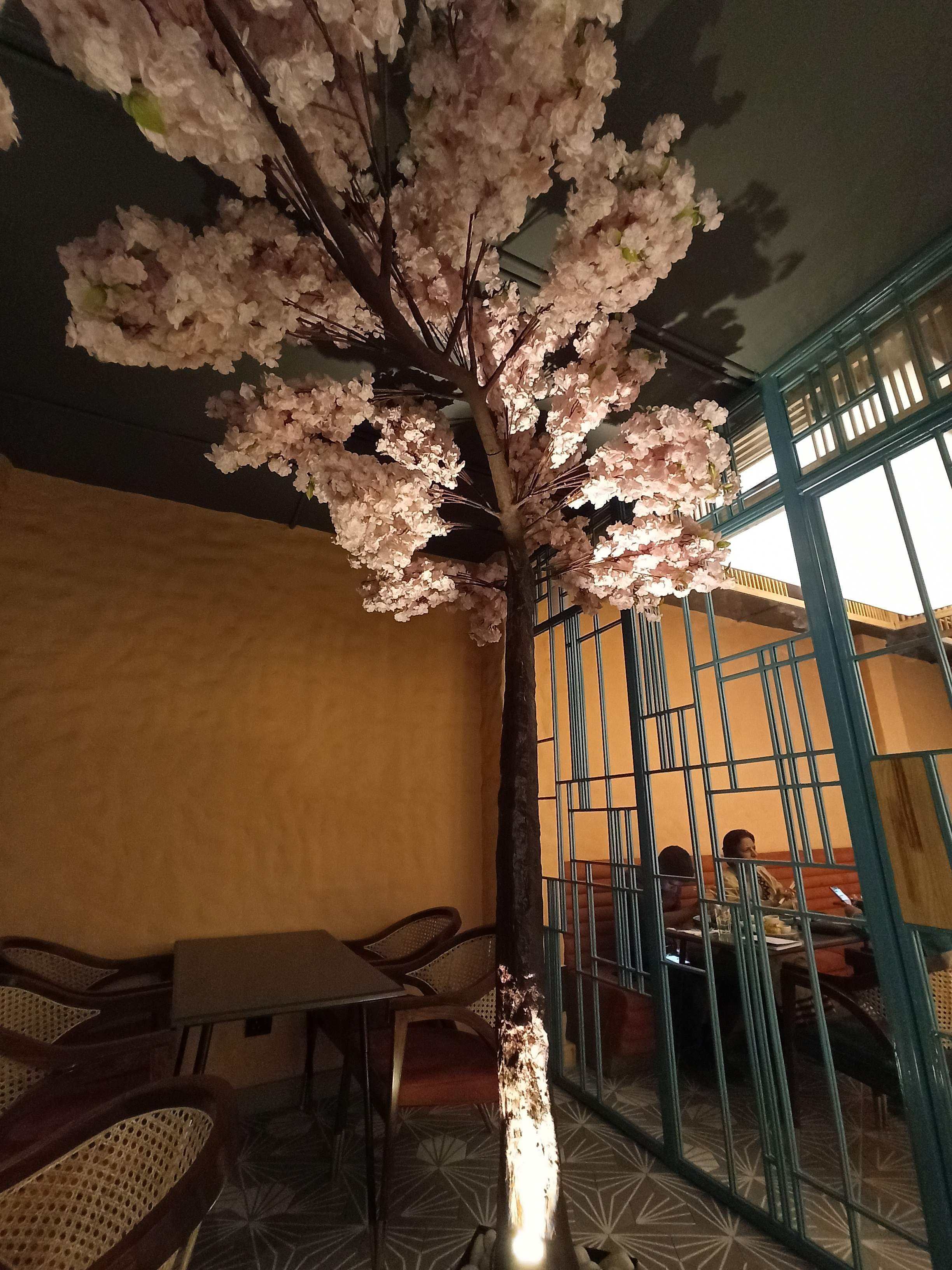 Tree,Flower,Cherry blossom,Plant,Blossom,Woody plant,Spring,Branch,Room