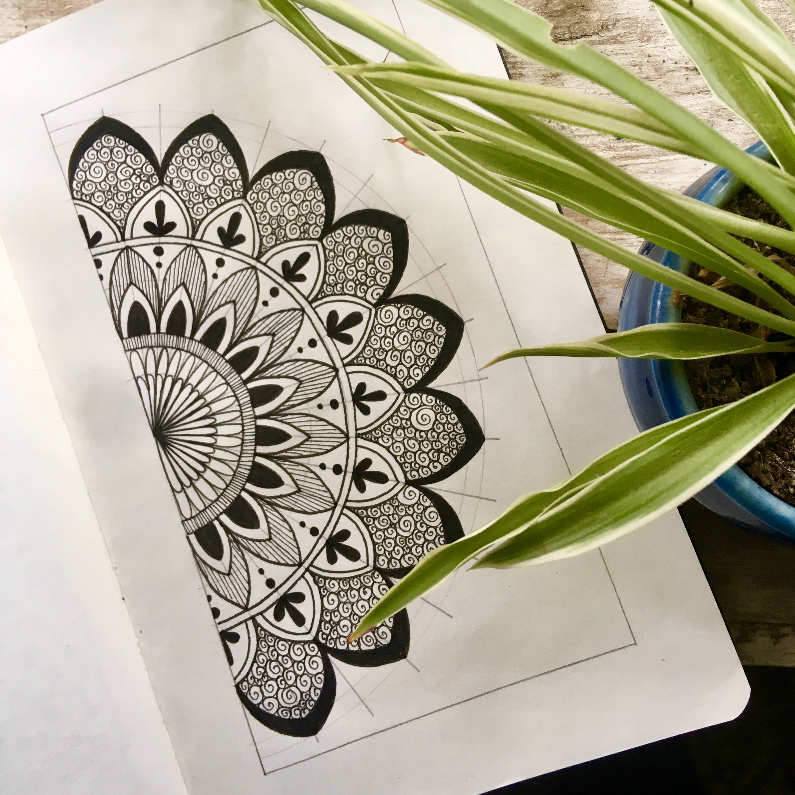 Mandala Simple Butterfly Doodle Art