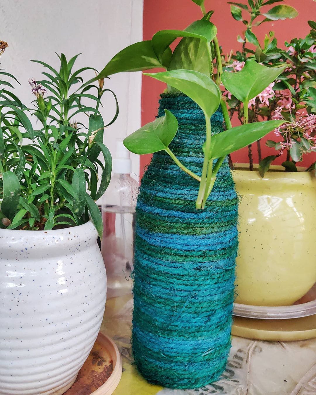 Flowerpot,Houseplant,Plant,Flower,Vase,Herb