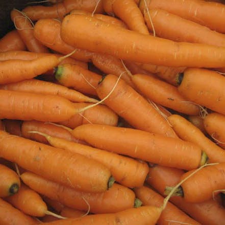 Carrot,Local food,Vegetable,Food,Root vegetable,Baby carrot,wild carrot,Natural foods,Plant,Produce