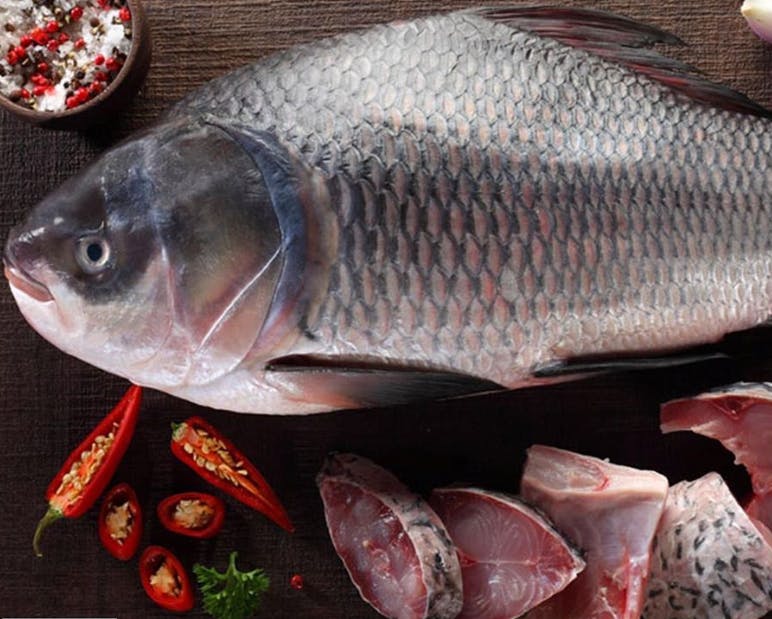 Fish,Fish,Fish products,Tilapia,Oily fish,Seafood,Tilapia,Bony-fish,Food,Carp