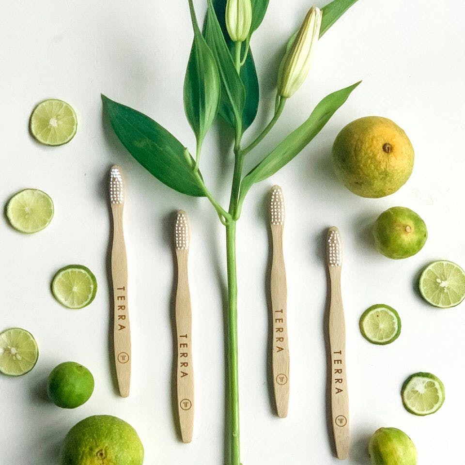 Key lime,Lime,Persian lime,Plant,Citrus,Fruit,Tree,Food,Sweet lemon,Lemon