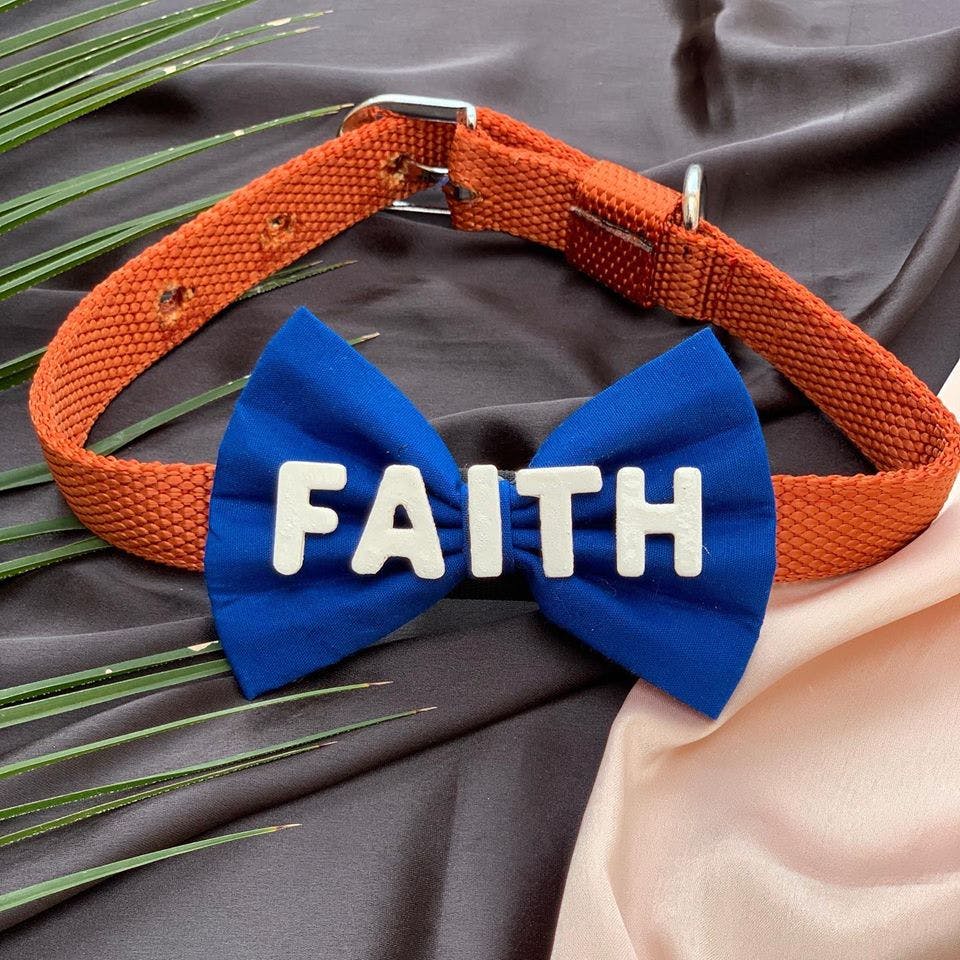 Orange,Blue,Fashion accessory,Dog collar,Electric blue,Collar,Strap,Bow tie,Buckle,Belt
