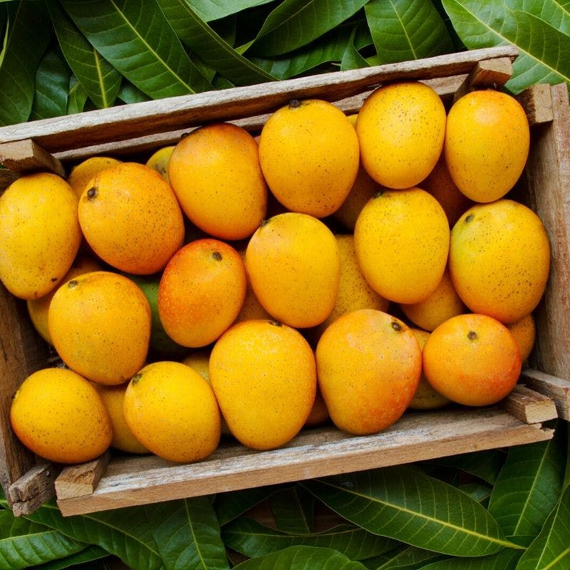 Fruit,Loquat,Food,Citrus,Plant,Sweet lemon,Bitter orange,Rangpur,Citric acid,Orange