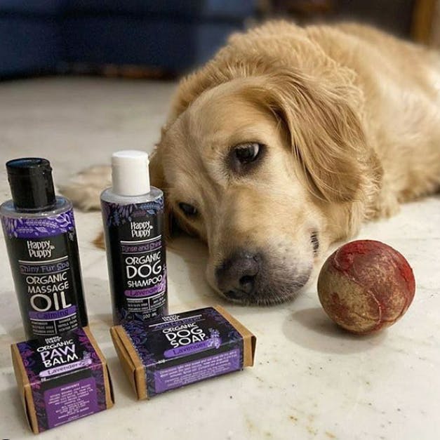 Happy hot sale puppy organics