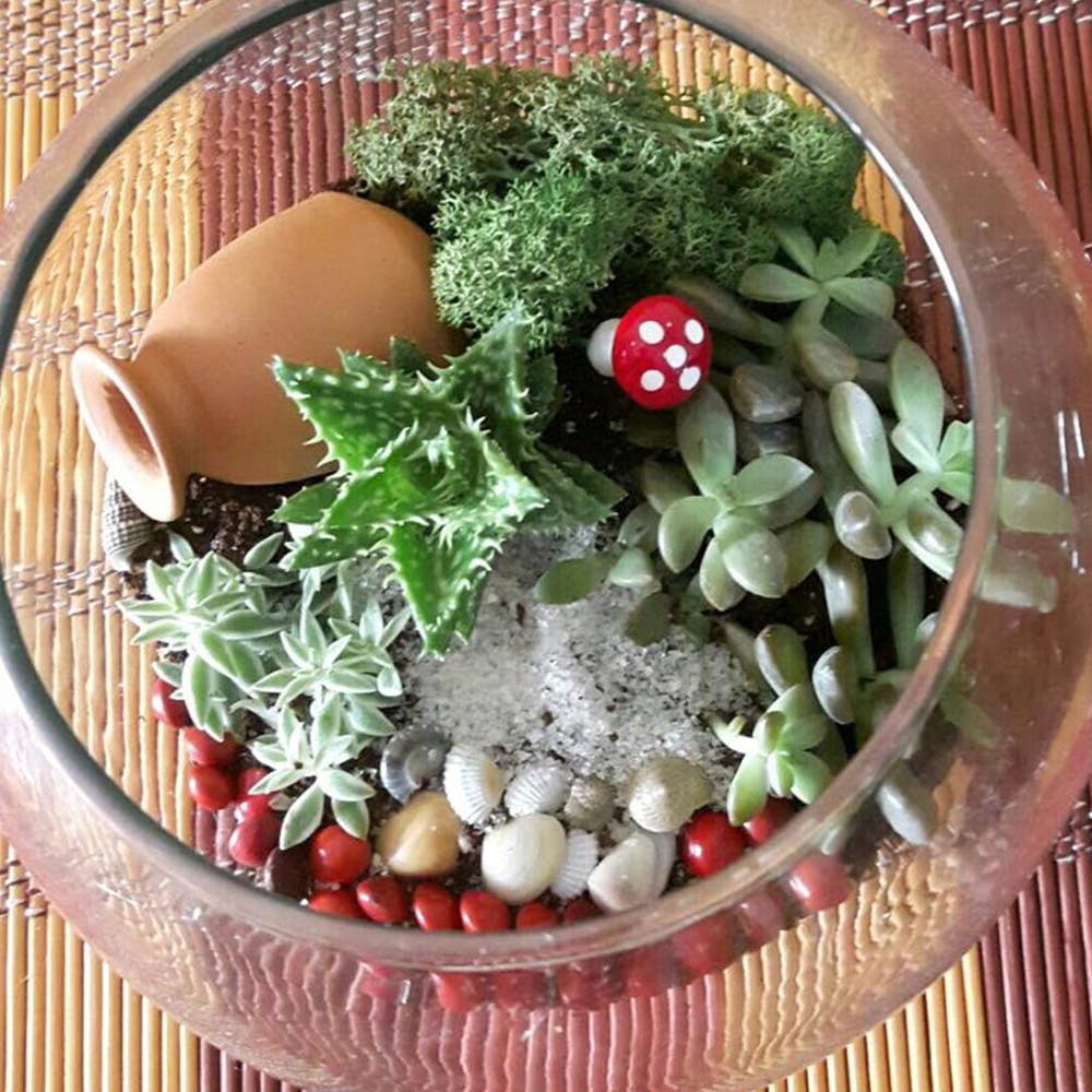 Flowerpot,Plant,Leaf,Herb,Flower,Houseplant,Vegetable,Christmas decoration,Vascular plant