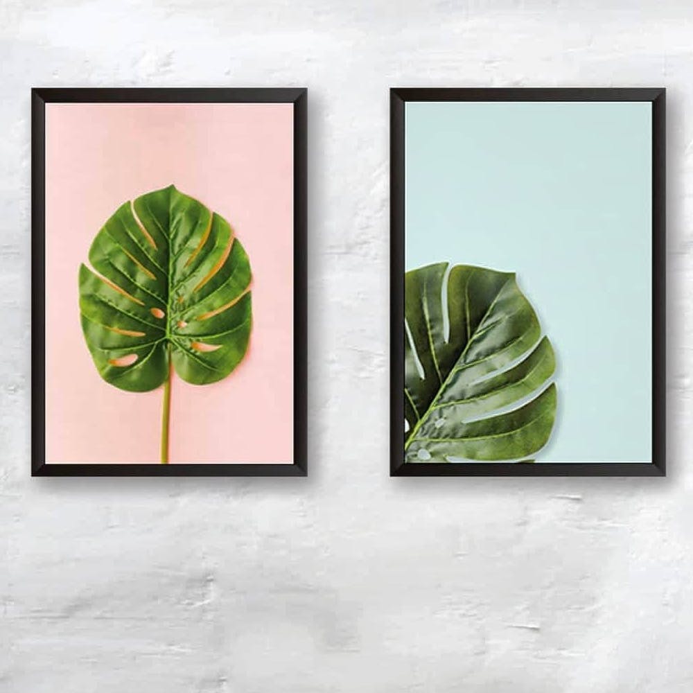 Leaf,Green,Plant,Botany,Flower,Houseplant,Anthurium,Alismatales,Picture frame,Modern art