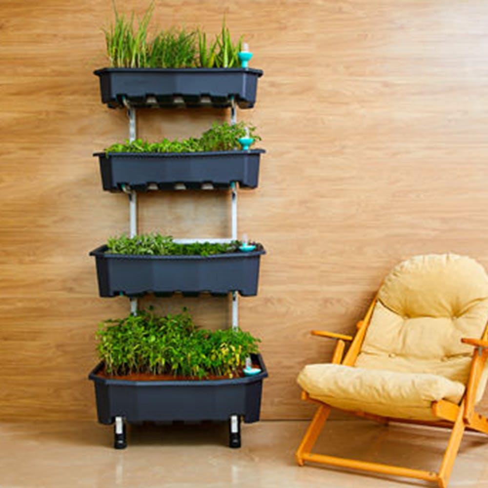 Houseplant,Flowerpot,Green,Furniture,Wall,Grass,Grass family,Plant,Table,Room