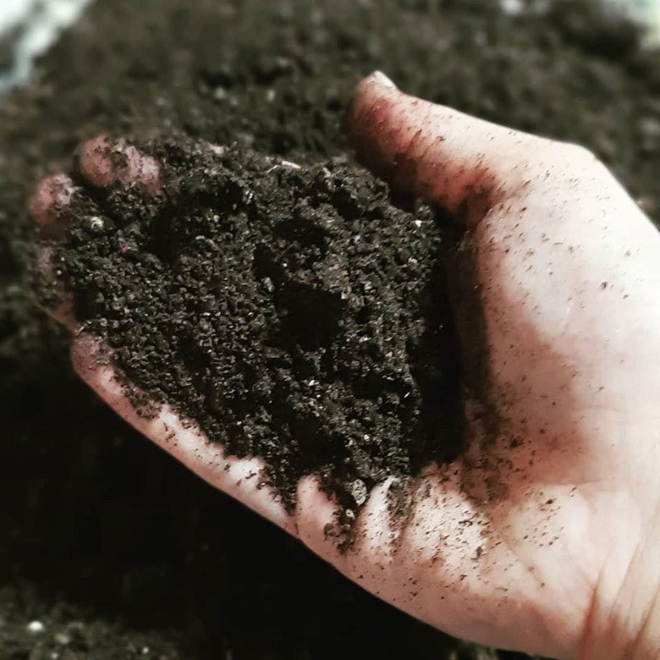Soil,Compost,Hand,Finger,Rock