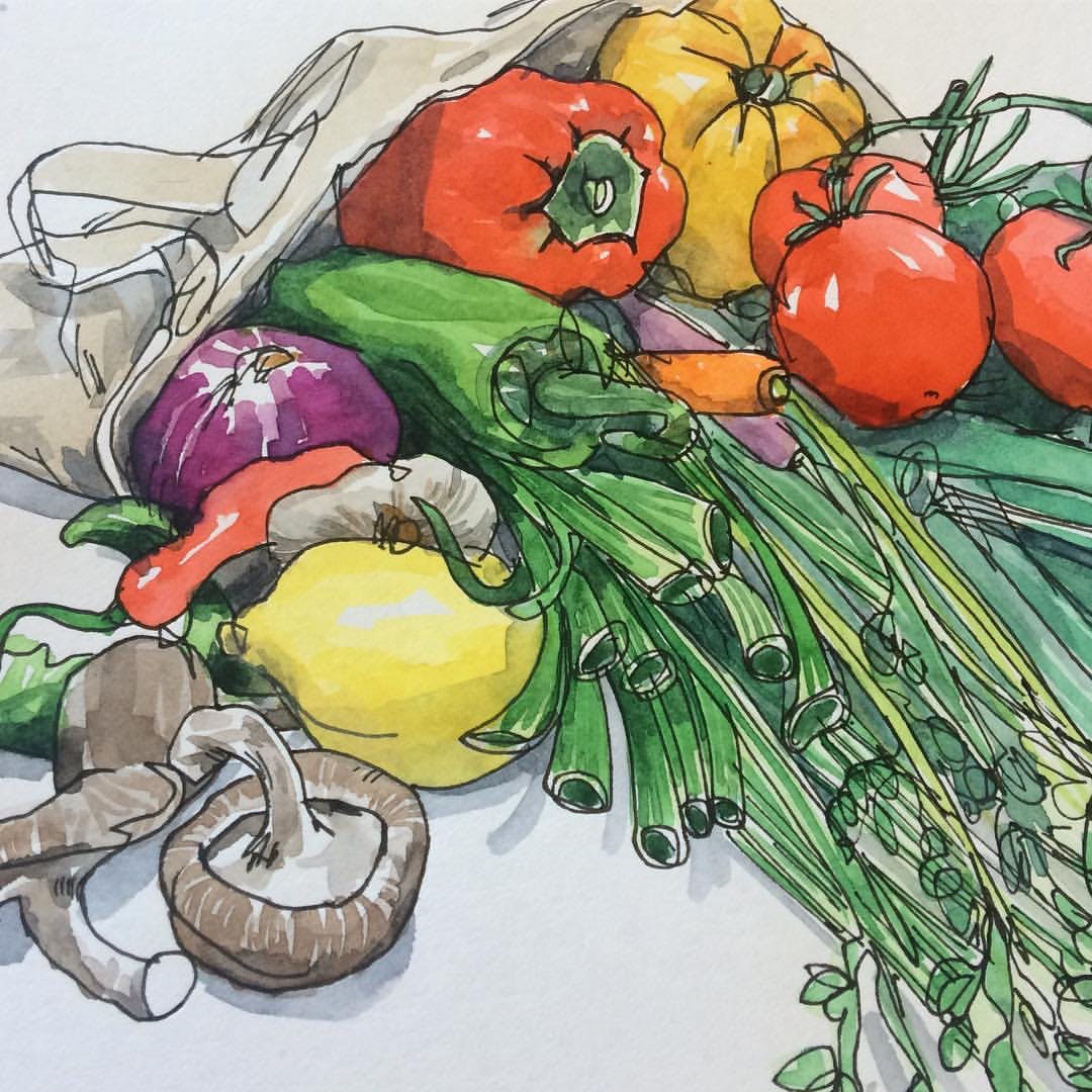 Vegetable,Illustration,Watercolor paint,Plant,Vegetarian food,Gourd,Winter squash,Still life,Produce,Drawing