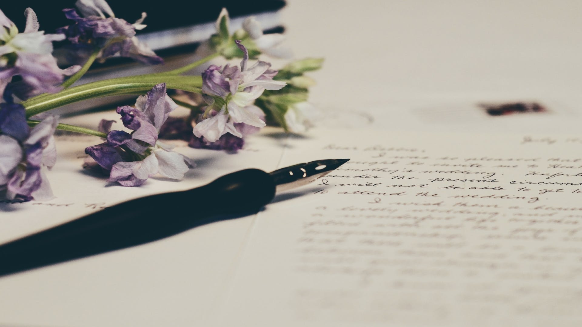 Purple,Flower,Plant,Writing instrument accessory,Writing,Ink,Paper,Fountain pen,Calligraphy,Illustration