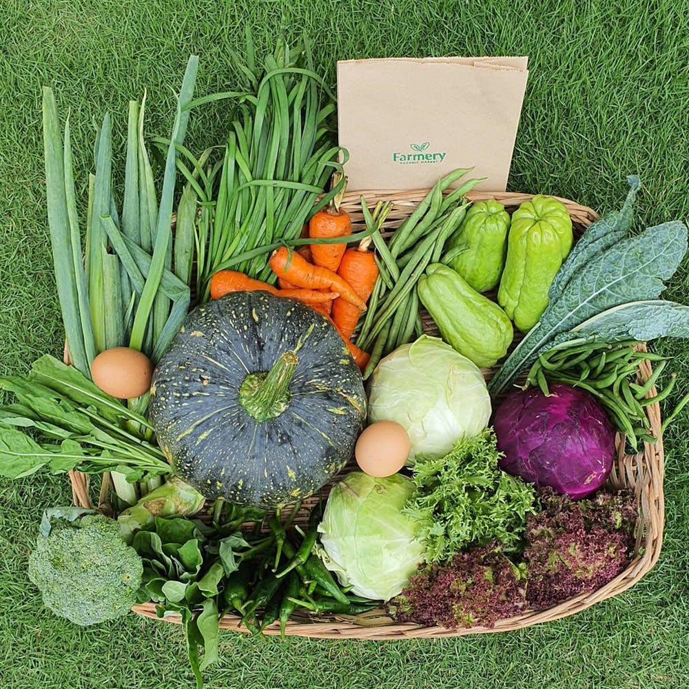 Natural foods,Vegetable,Local food,Grass,Vegan nutrition,Plant,Superfood,Leaf vegetable,Food,Cruciferous vegetables