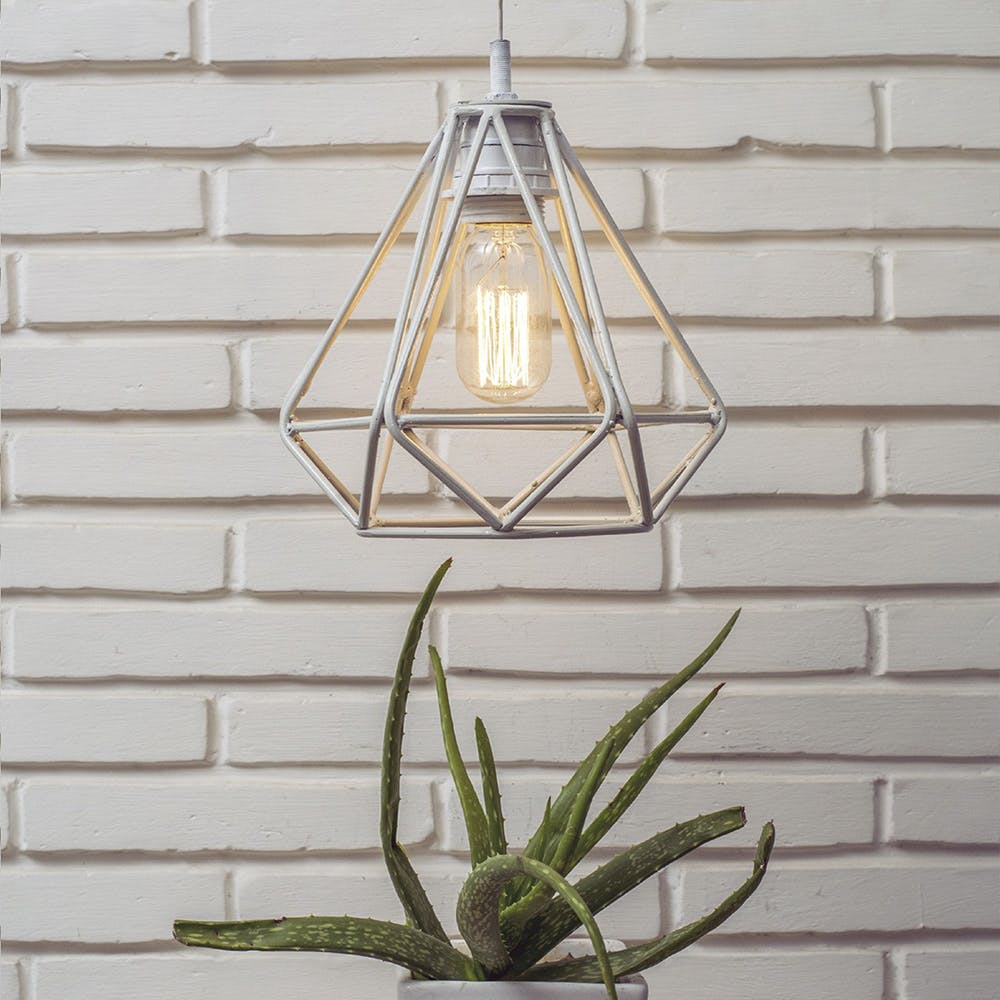 Light fixture,Lighting,Wall,Iron,Lamp,Twig,Branch,Sconce,Interior design,Plant