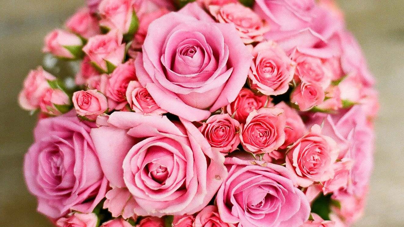 Check Out These Flower Delivery Services In Pune LBB, Pune