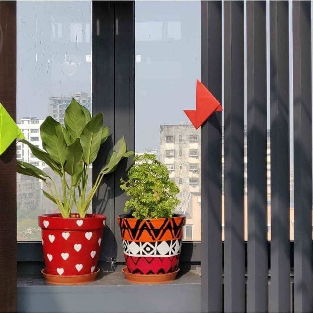 Flowerpot,Houseplant,Orange,Leaf,Plant,Flower,Herb,Room,Window