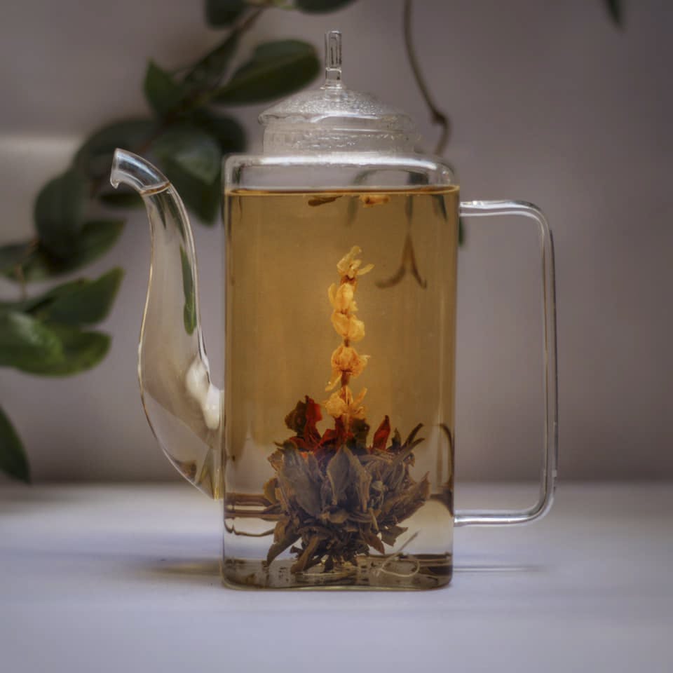 Glass,Plant,Jug,Tableware,Flowering tea