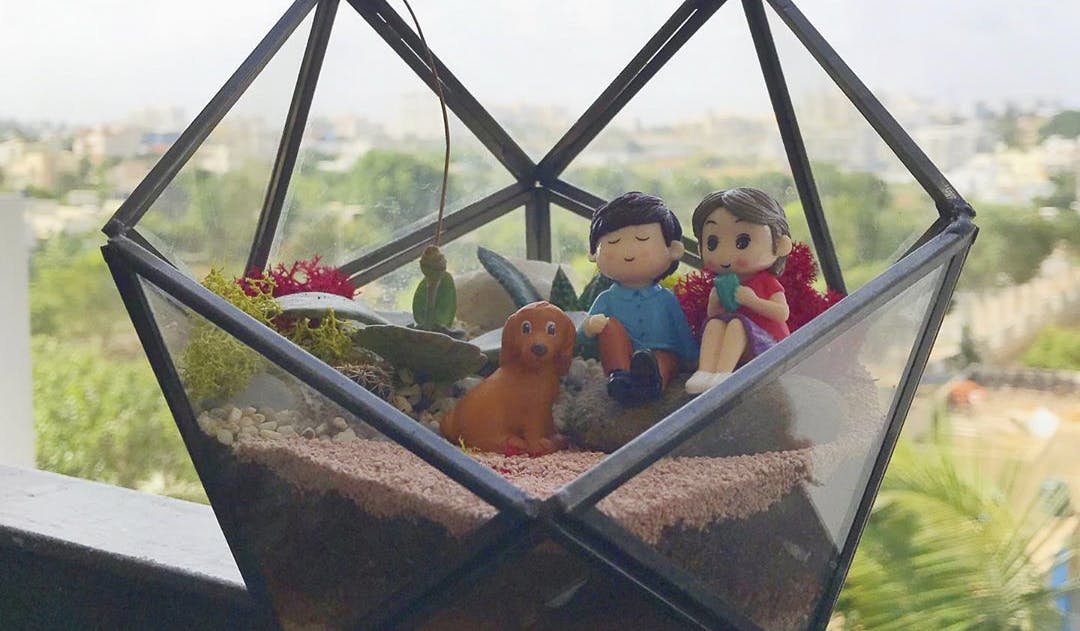 Buy Terrariums & Plant Decor At Roots Online LBB, Bangalore