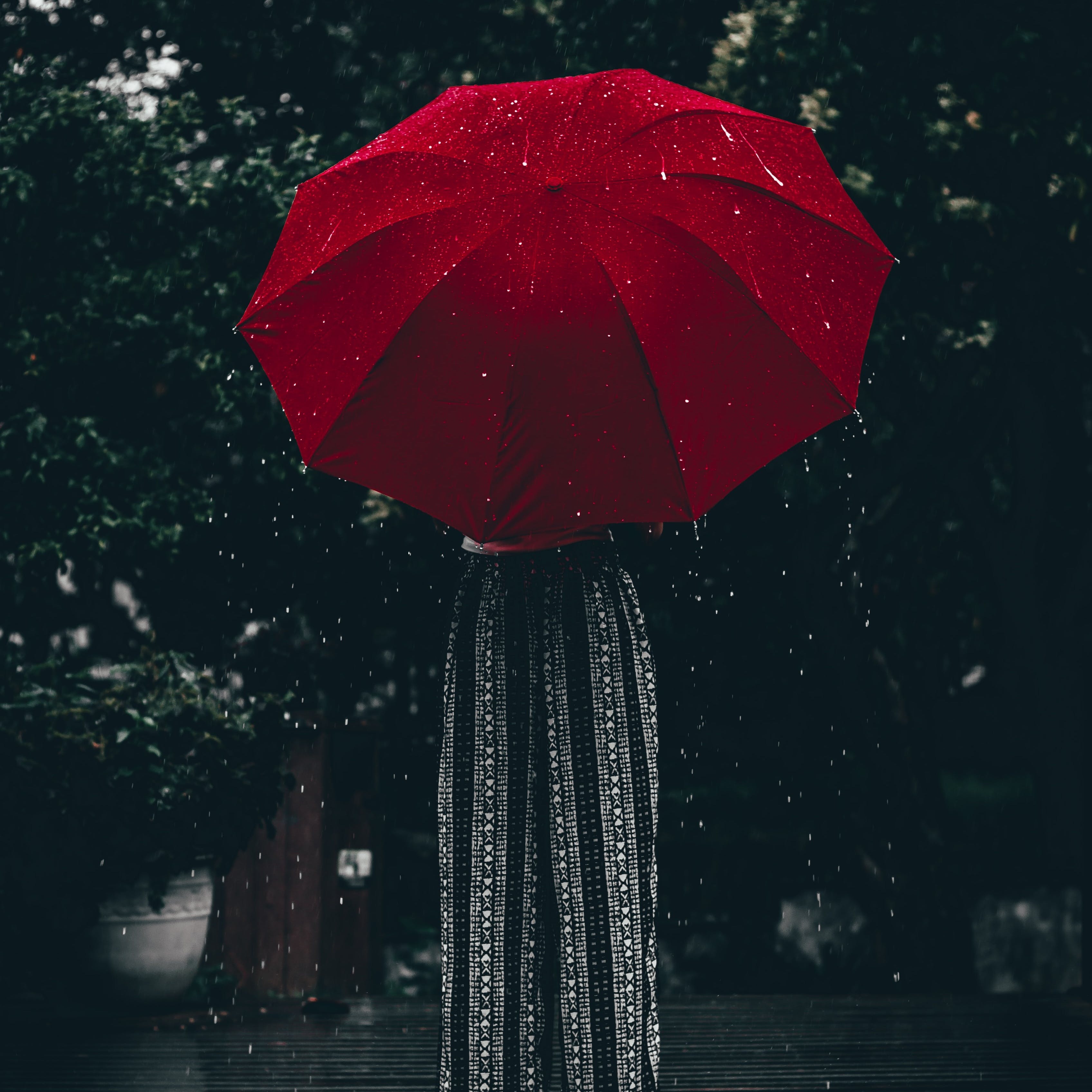 Umbrella,Red,Rain,Sky,Water,Tree,Tints and shades,Fashion accessory,Night,Plant