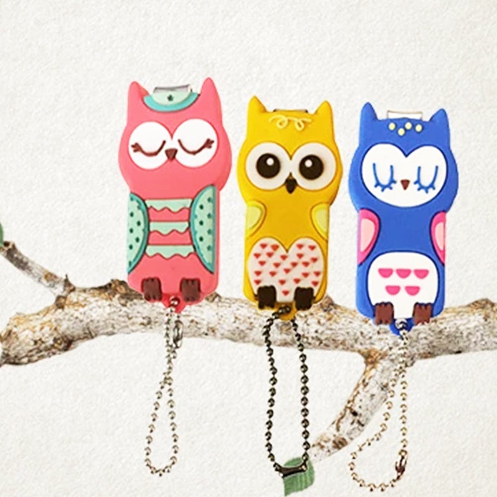Owl,Cartoon,Glasses,Bird of prey,Font,Bird,Chain,Fashion accessory,Keychain