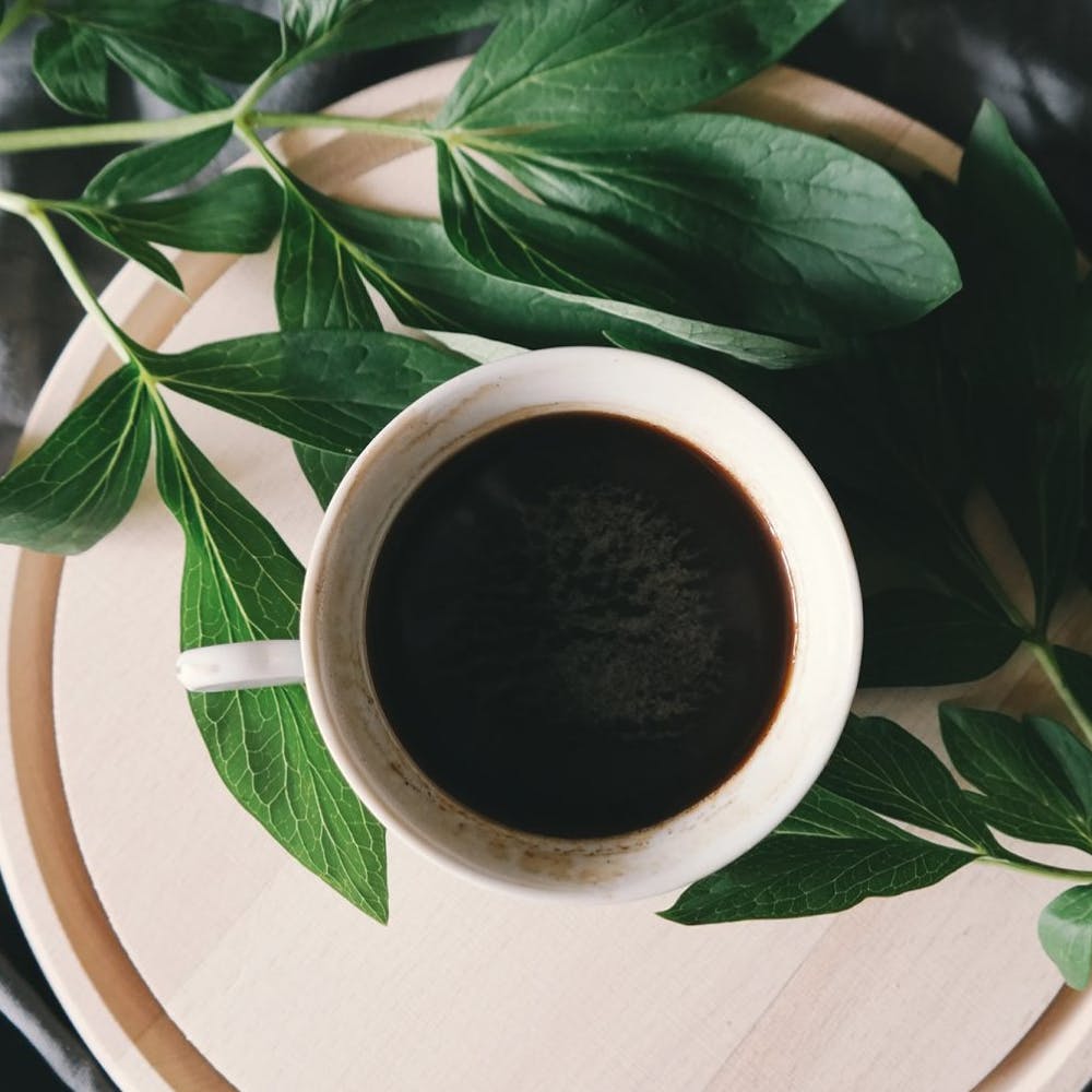 Cup,Leaf,Plant,Coffee cup,Serveware,Dandelion coffee,Circle,Plate,Herb,Teacup