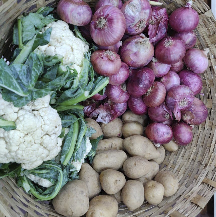 Natural foods,Local food,Vegetable,Food,Turnip,Cauliflower,Cruciferous vegetables,Leaf vegetable,Kohlrabi,Rutabaga