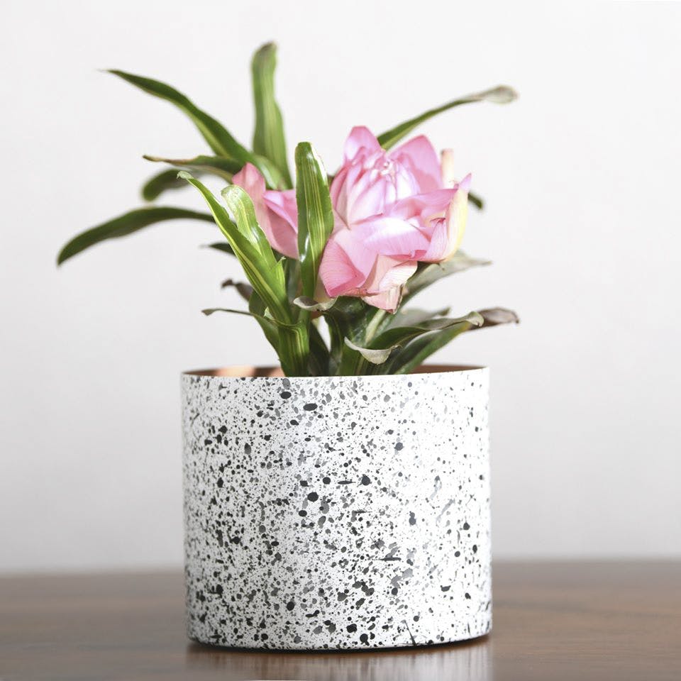 Flower,Flowering plant,Flowerpot,Plant,Vase,Houseplant,Pink,Cut flowers,Artificial flower,Petal