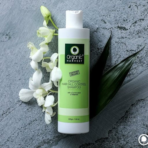 Organic store shampoo india