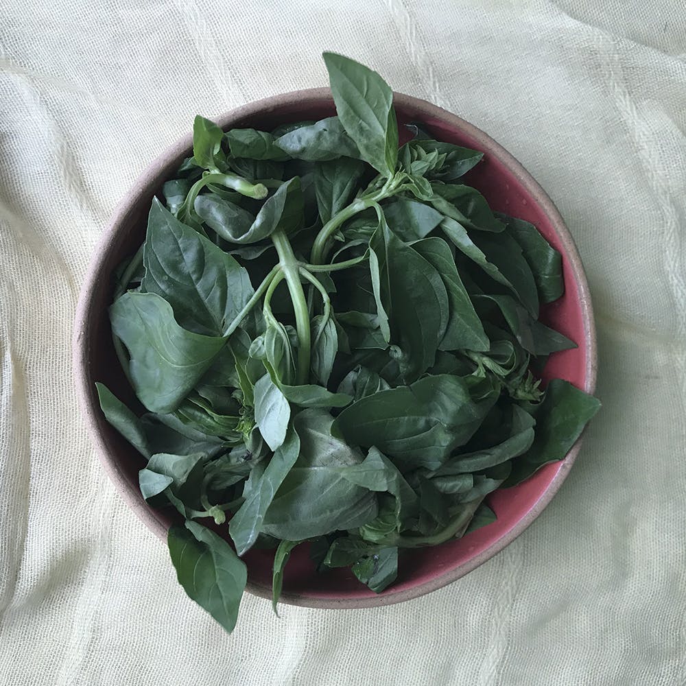 Collard greens,Food,Leaf vegetable,Plant,Leaf,Vegetable,Spinach,Spring greens,Flower,Vegetarian food