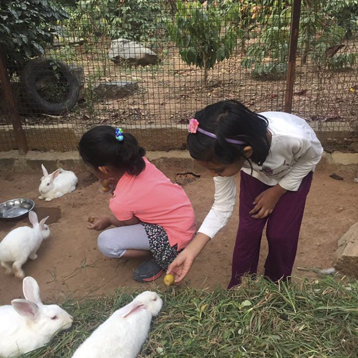 Head To These Farms With Kids For A Day Out | LBB, Bangalore