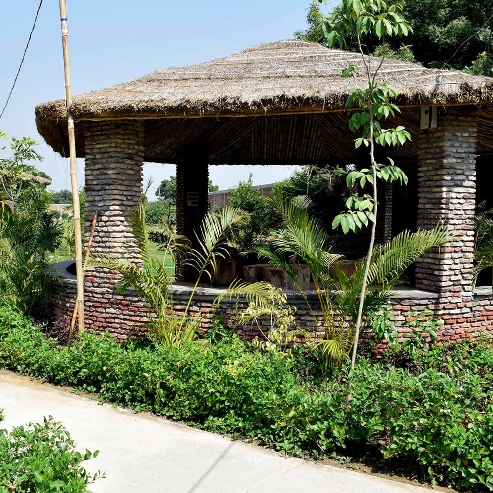 Gazebo,Botany,House,Roof,Building,Garden,Pavilion,Cottage,Plant,Grass