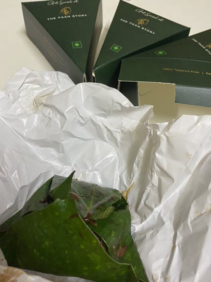 Leaf,Plastic bag,Paper
