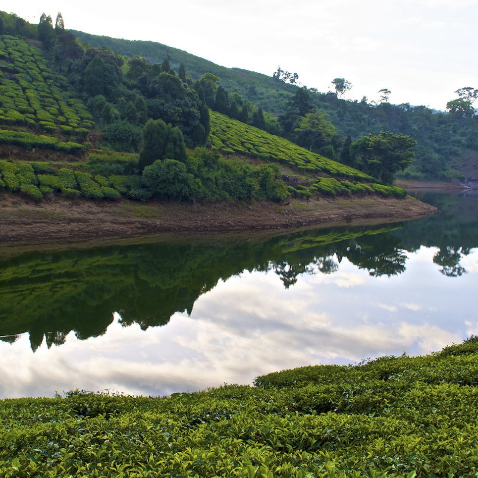 Nature,Water,Water resources,Vegetation,Reflection,Natural landscape,Green,Highland,Reservoir,Lake