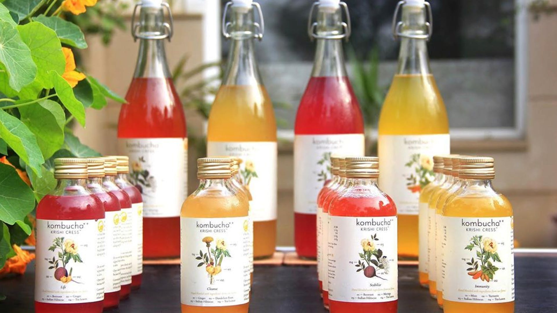 Best Online Brands To Buy Kombucha | LBB, Delhi