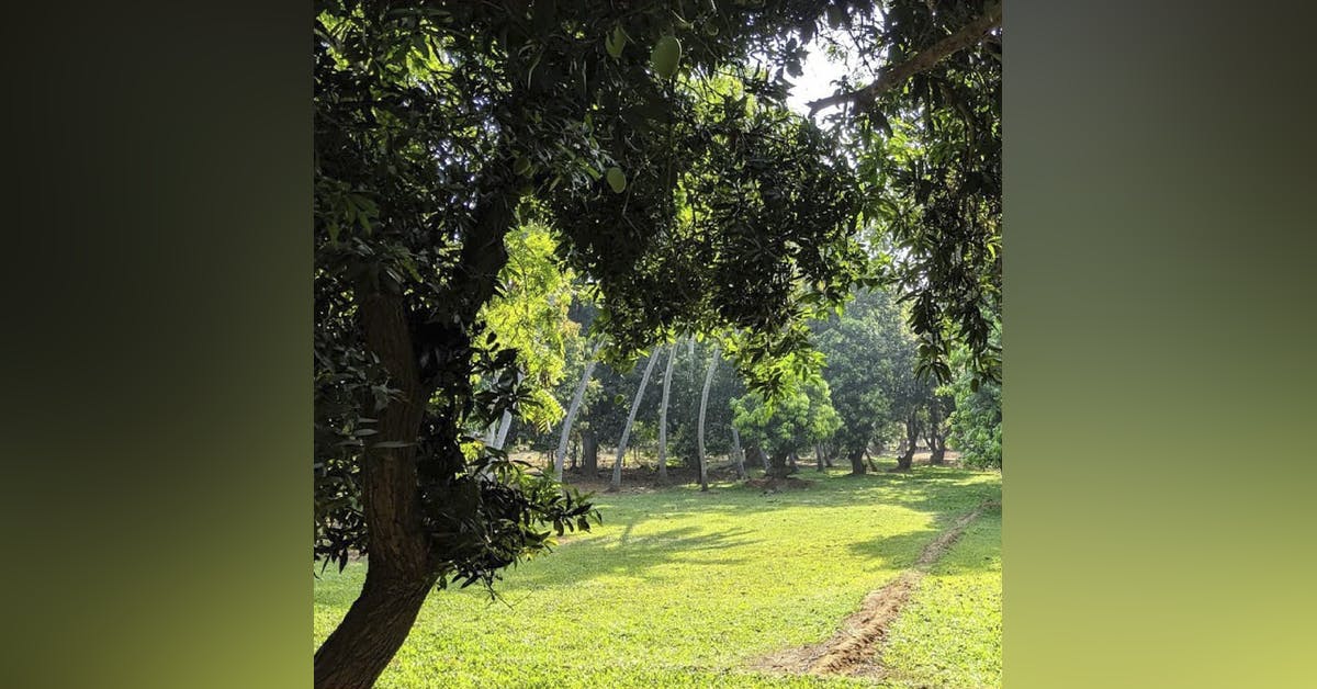 Hanu Reddy Raghava Farms | LBB