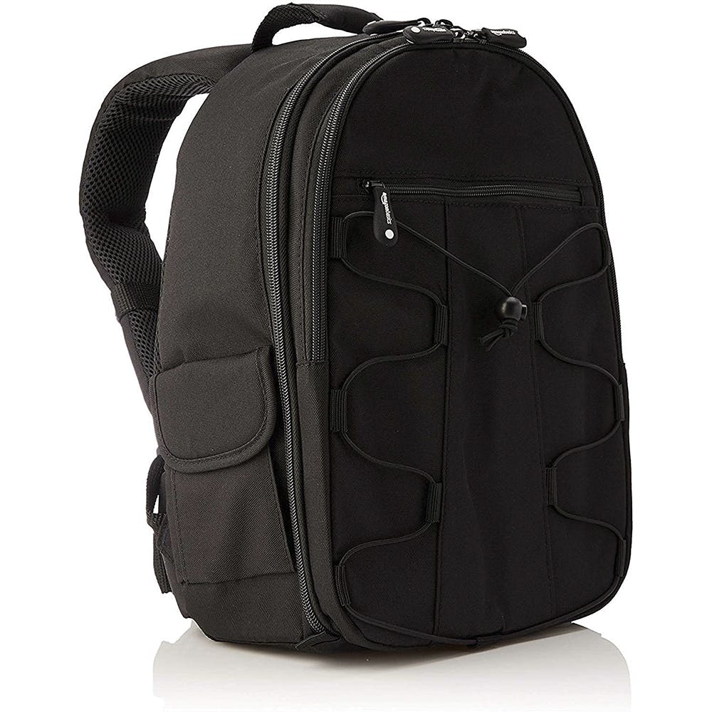 Amazon Basics Backpack for SLR/DSLR Cameras and Accessories (Black)