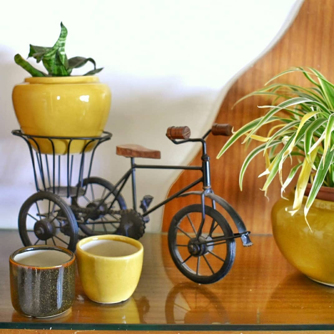 Houseplant,Yellow,Flowerpot,Plant,Room,Ceramic,Serveware,Tableware,Flower