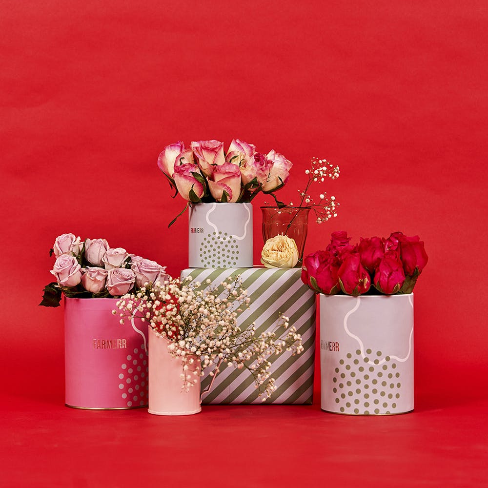 Red,Pink,Cut flowers,Vase,Bouquet,Plant,Flower,Centrepiece